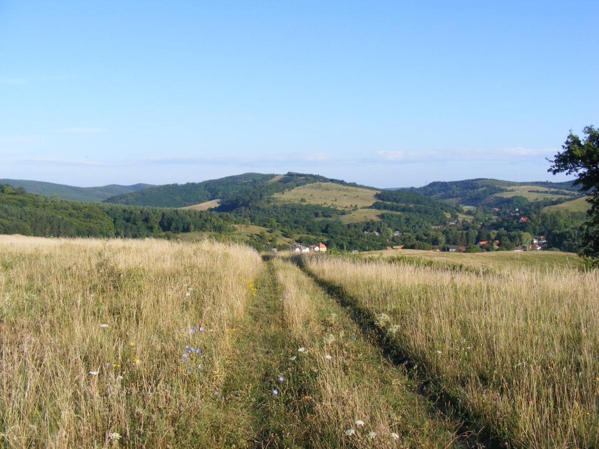 Falubíró Vendégháza Bekolce Kültér fotó
