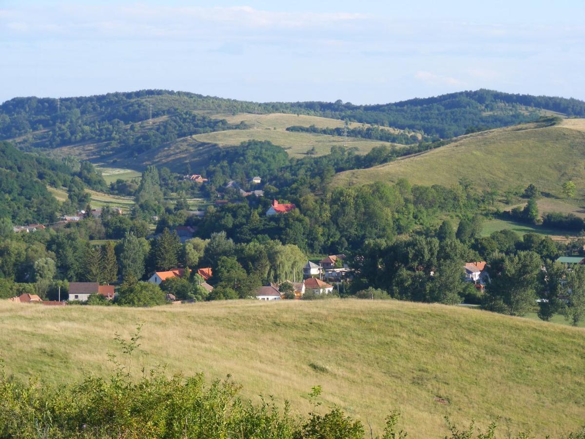 Falubíró Vendégháza Bekolce Kültér fotó