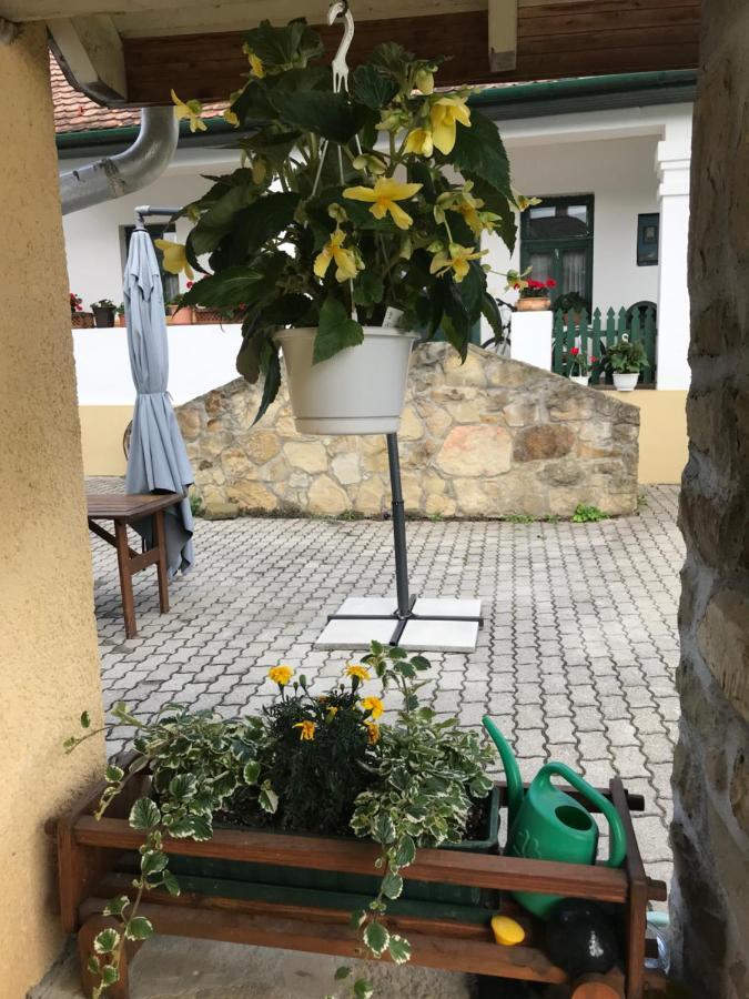 Falubíró Vendégháza Bekolce Kültér fotó